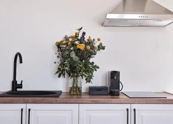 Apartamento Boheme Elia (Mykonos)