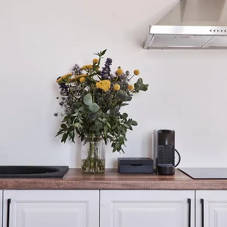 Daire Boheme Elia (Mykonos)